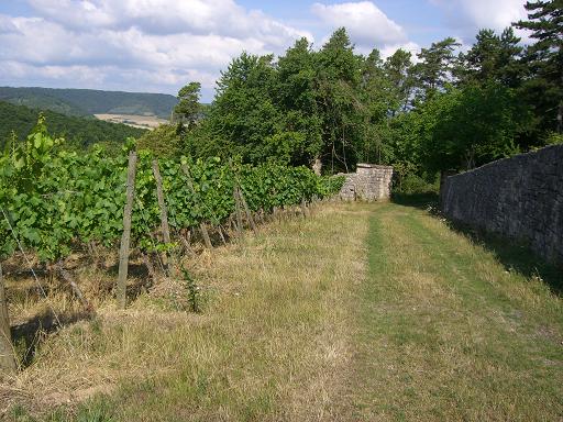 Saalecker Schlossberg